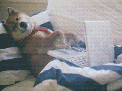 Hero section title image