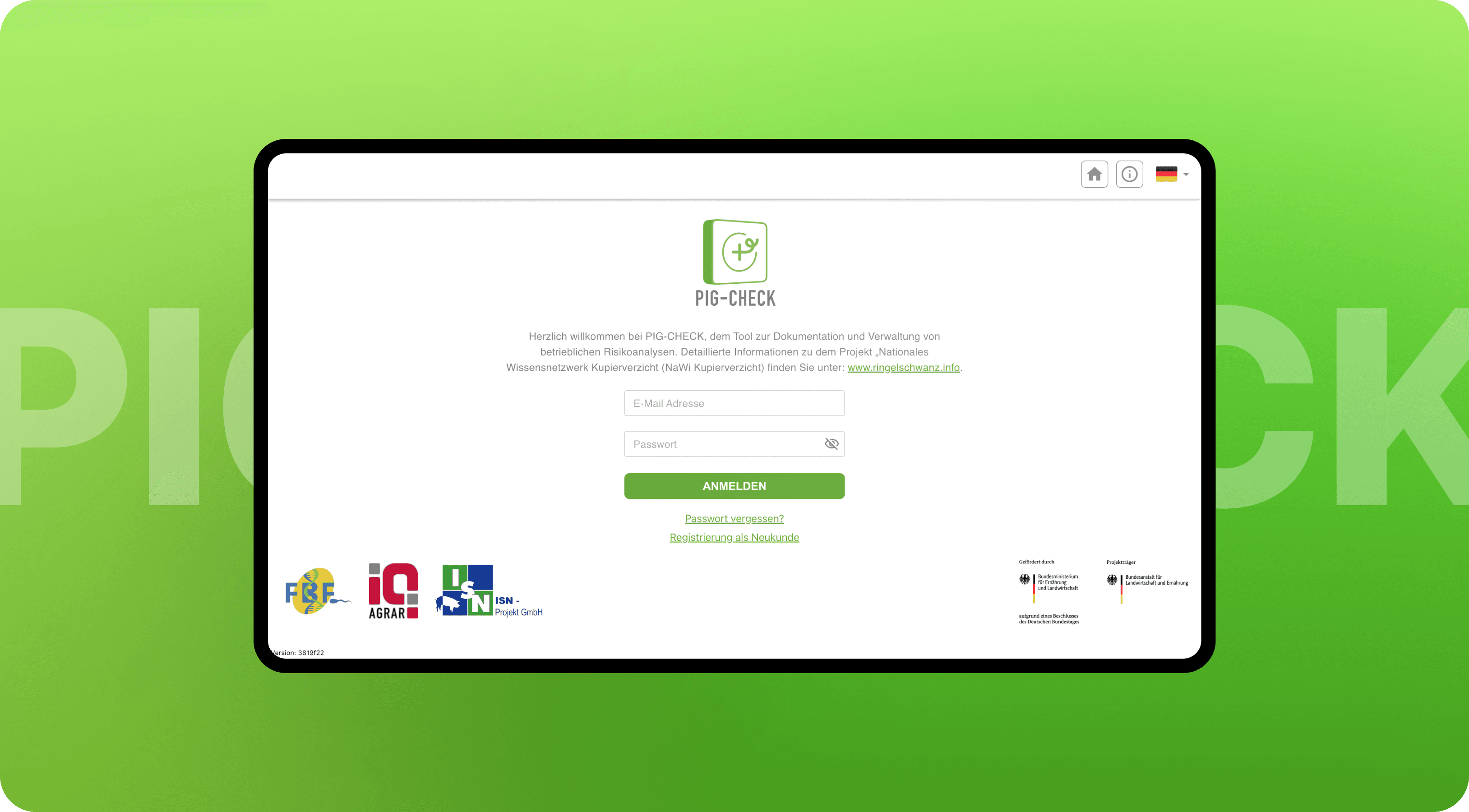 Pig-check cover image